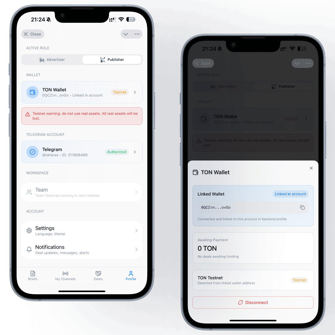 Profile and TON wallet connection screens used for account and payment setup.